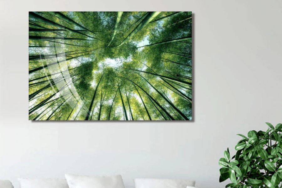BAMBOO Forest Trees Wall Art Print TG