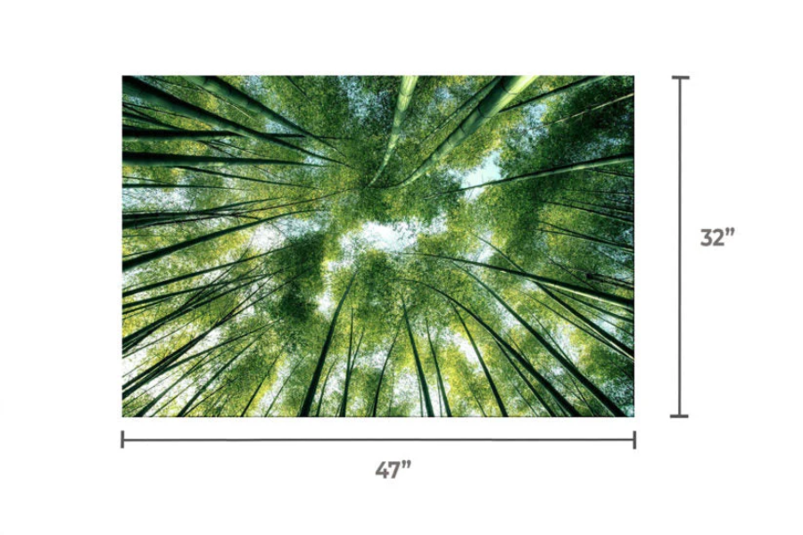 BAMBOO Forest Trees Wall Art Print TG